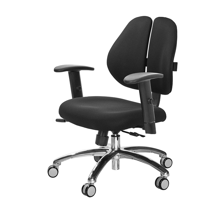 GXG 人體工學 雙背椅 (鋁腳/升降扶手)  型號2991 LU5