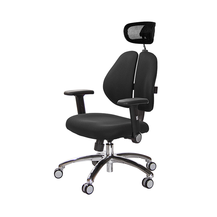 GXG 高背泡棉座 雙背椅 (鋁腳/摺疊升降扶手)  型號2993 LUA1