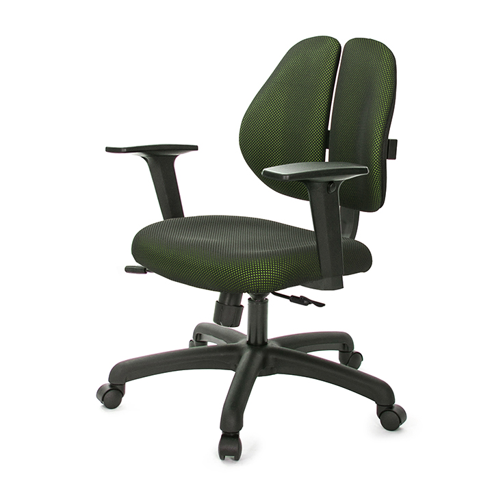 GXG 人體工學 雙背椅 (2D升降扶手)  型號2991 E2