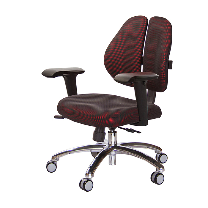 GXG 人體工學 雙背椅 (鋁腳/4D升降扶手)  型號2991 LU3