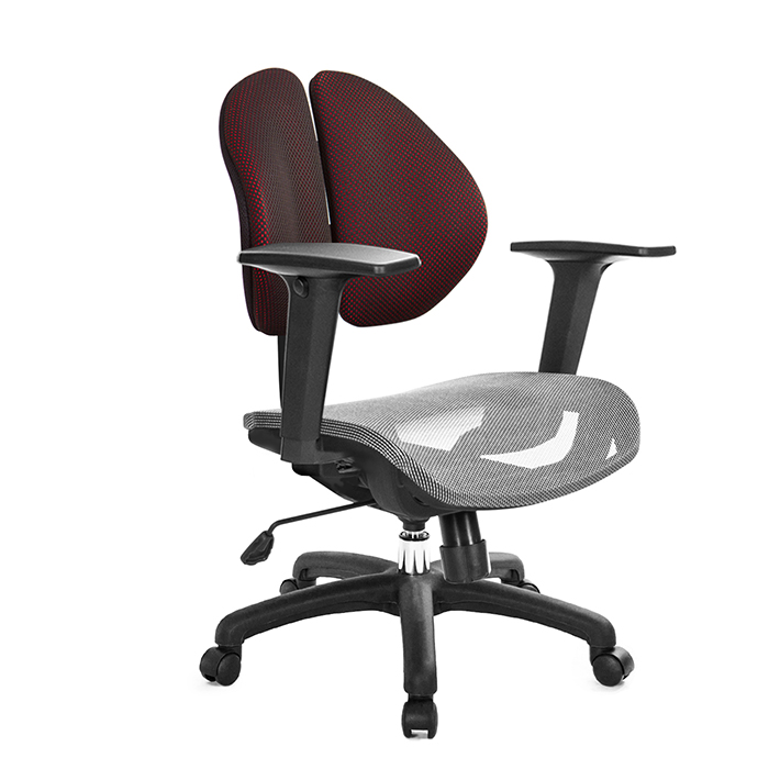 GXG 短背網座 雙背椅 (2D升降扶手) TW-2997 E2