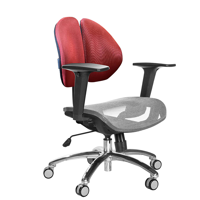 GXG 短背網座 雙背椅 (鋁合金腳/2D升降扶手) TW-2997 LU2