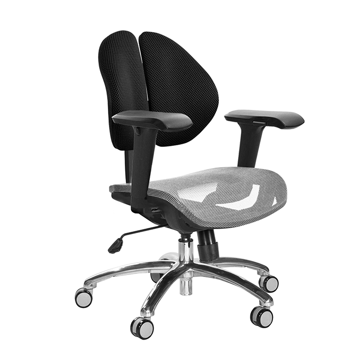 GXG 短背網座 雙背椅 (鋁合金腳/4D升降扶手) TW-2997 LU3