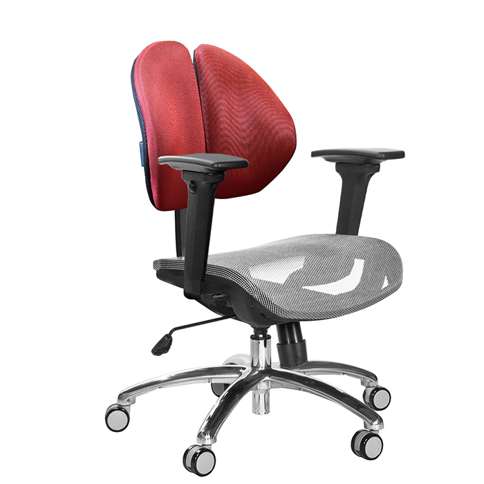 GXG 短背網座 雙背椅 (鋁合金腳/3D升降扶手) TW-2997 LU9