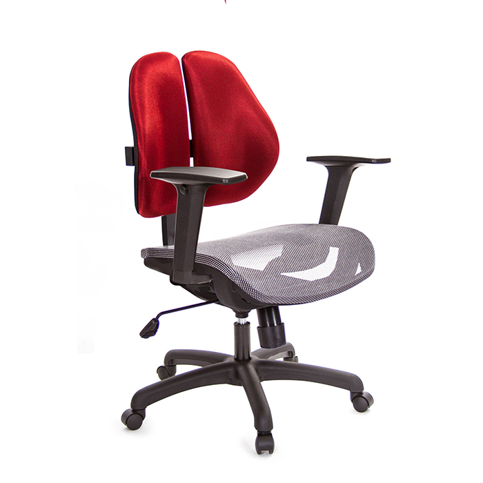 GXG 短背網座 雙背椅 (升降扶手)  TW-2801 E2