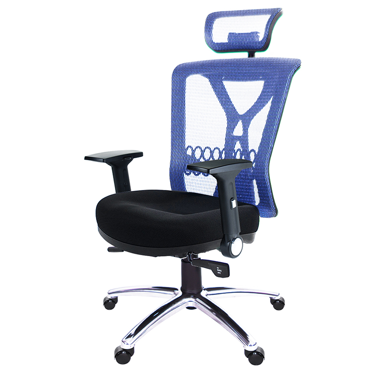 GXG 高背電腦椅 (摺疊滑面手/鋁腳) 型號8095 LUA1J