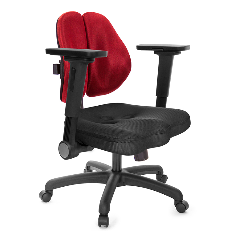 GXG 短背美臀 雙背椅 (/摺疊4D平面扶手)  型號2503 E1H
