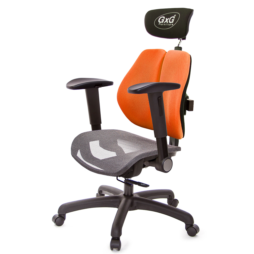 GXG 雙軸枕 雙背工學椅(摺疊滑面扶手) 中灰網座 型號2706 EA1J