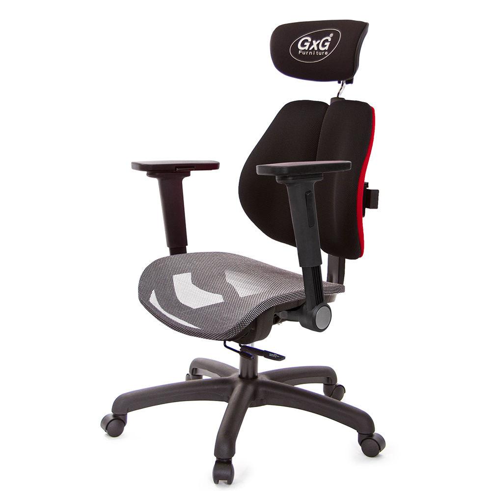 GXG 雙軸枕 雙背工學椅(4D平面摺疊手) 中灰網座 型號2706 EA1H