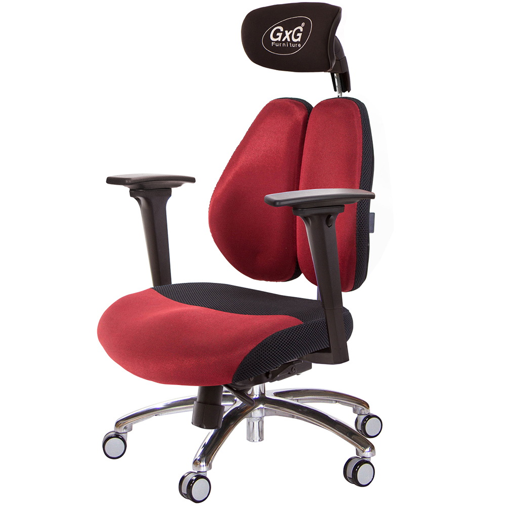 GXG 雙軸枕 DUO KING 工學椅(鋁腳/3D升降扶手)  型號3606 LUA9