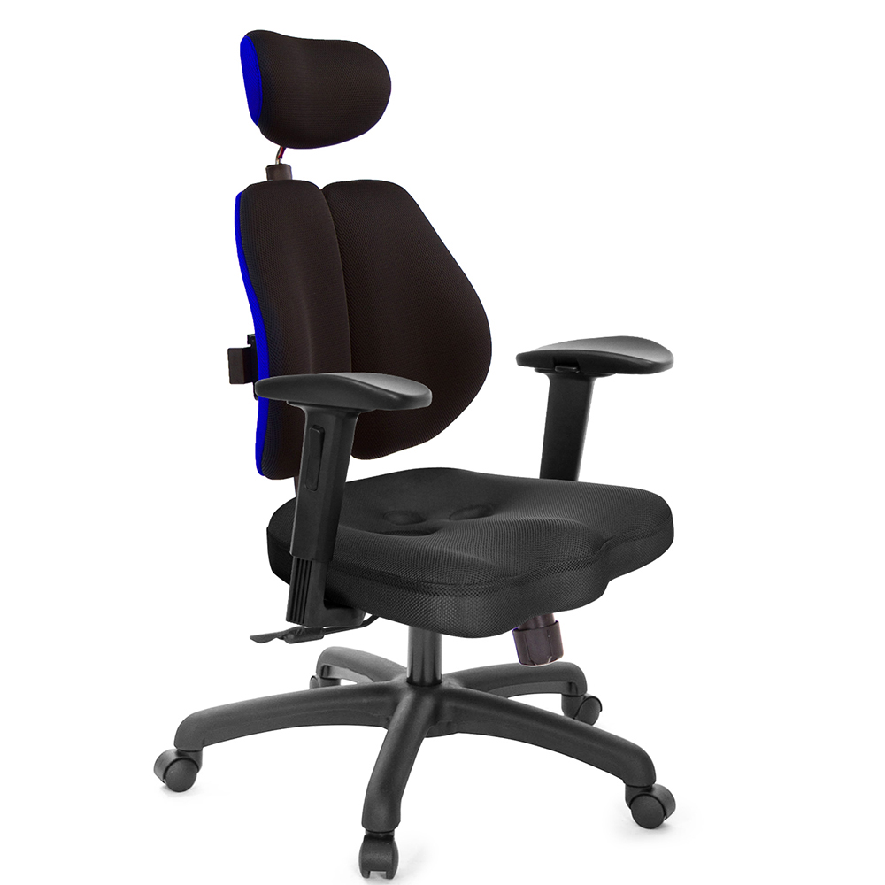 GXG 高背美臀 雙背椅 (2D滑面升降扶手)  型號2504 EA2J