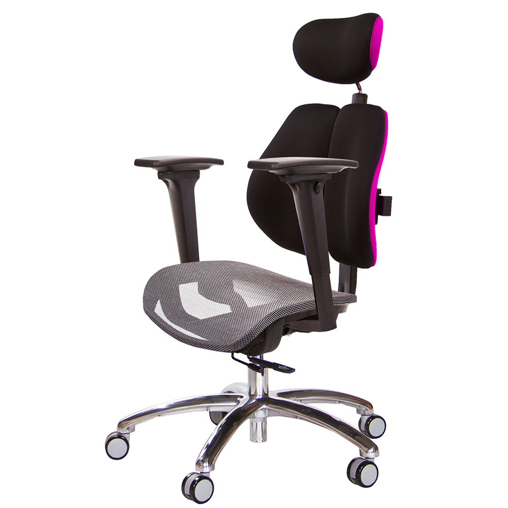 GXG 高雙背網座 工學椅(鋁腳/3D升降扶手)  型號2806 LUA9