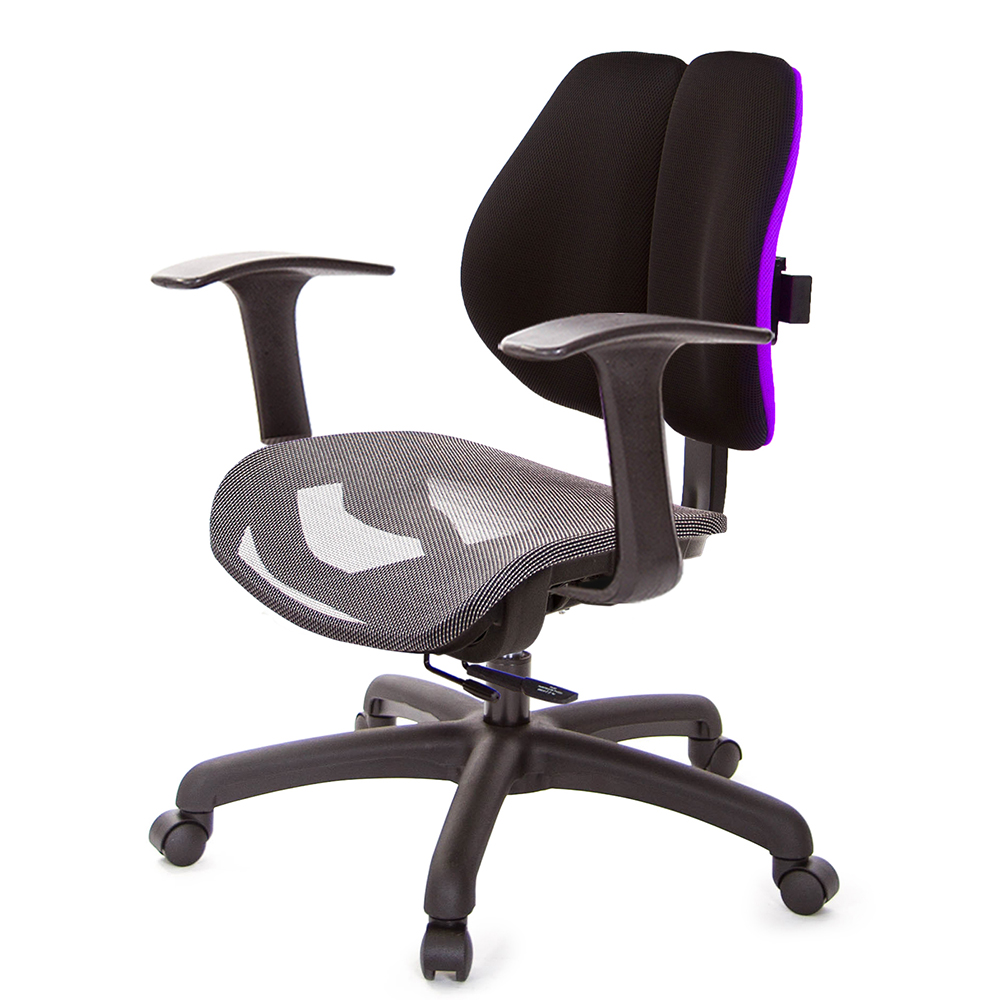 GXG 低雙背網座 工學椅(T字扶手)  型號2805 E