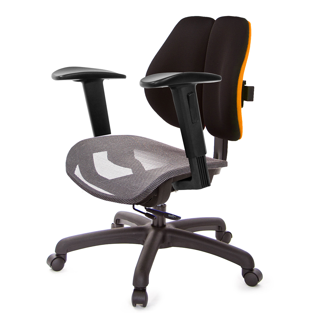 GXG 低雙背網座 工學椅(2D升降手)  型號2805 E2