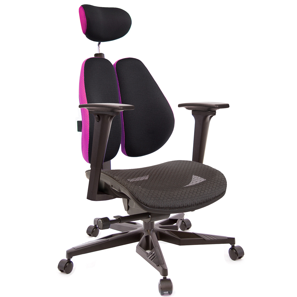 GXG 高雙背工學 電腦椅(電競腳/3D升降扶手)  型號3076 KGA9