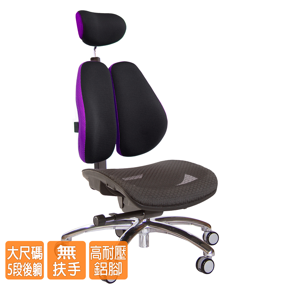 GXG 高雙背工學 電腦椅(鋁腳/無扶手) 型號3076 LUANH